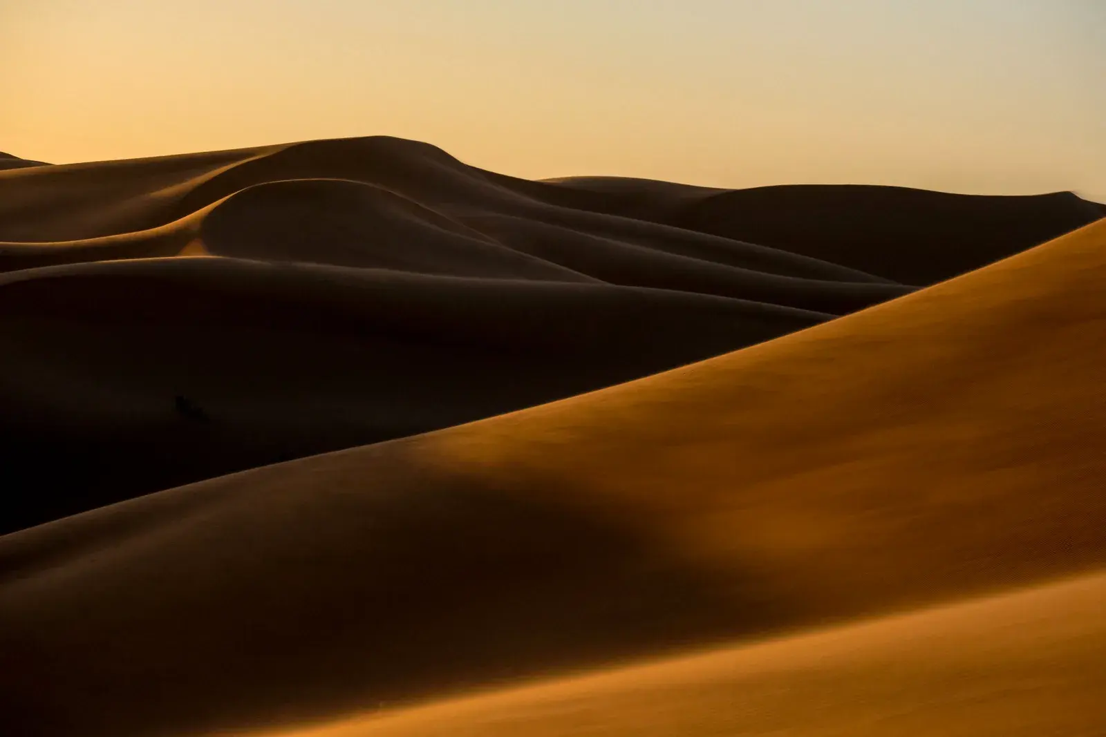 Golden sand dunes glowing at dusk in Morocco, the kind of slopes used for sandboarding